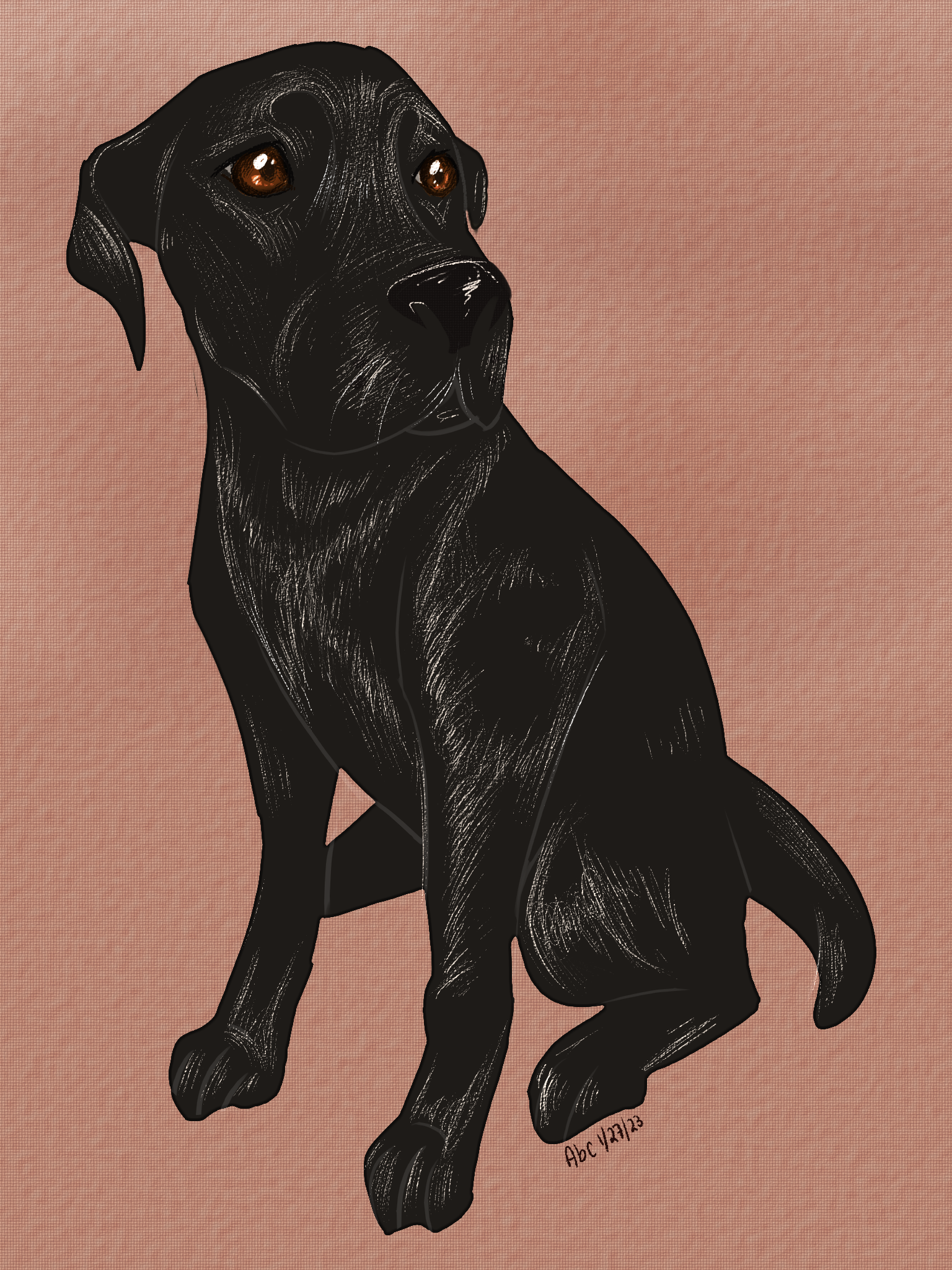 A gift drawing of a black dog with short, shiny fur and brown eyes on a textured brown background.